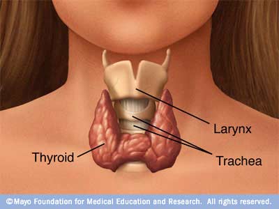 thyroid_disorders_clip_image001.jpg